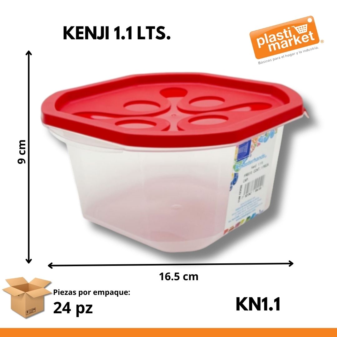 KENJI 1.1 LTS.