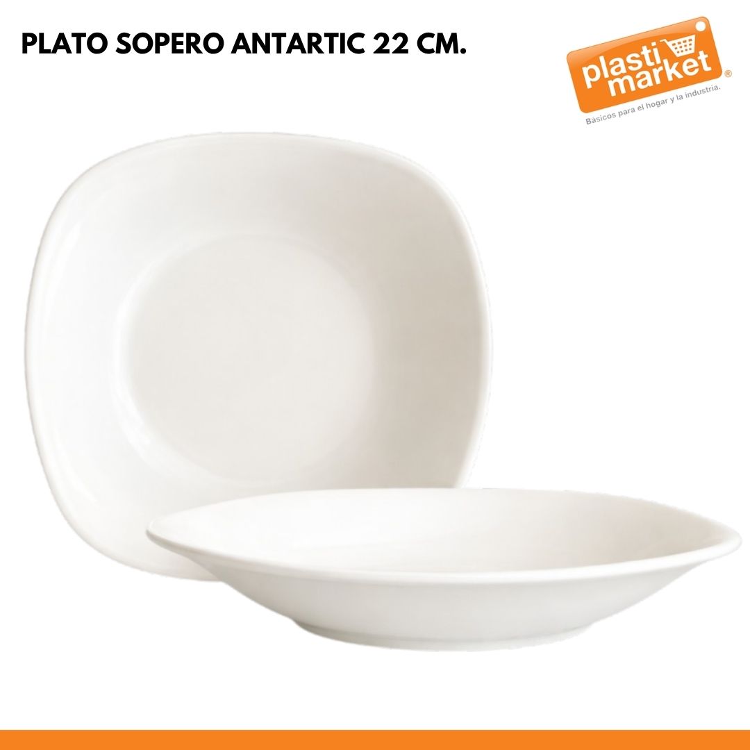 PLATO SOPERO ANTARTIC 22 CM.
