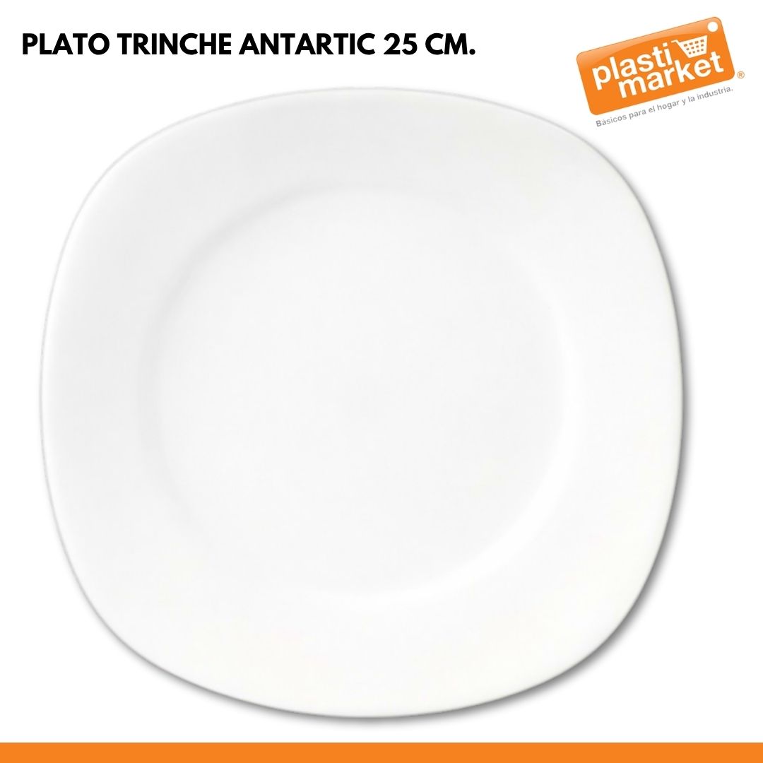 PLATO TRINCHE ANTARTIC 25 CM.